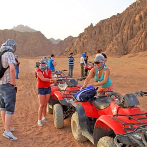 Buggy Safari Tours