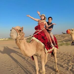 Desert Safari Camel Ride