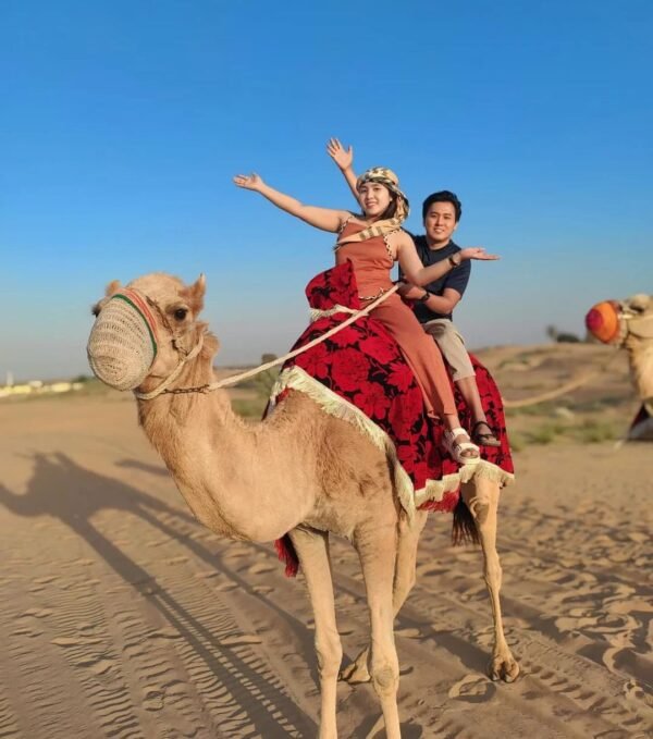 Desert Safari Camel Ride