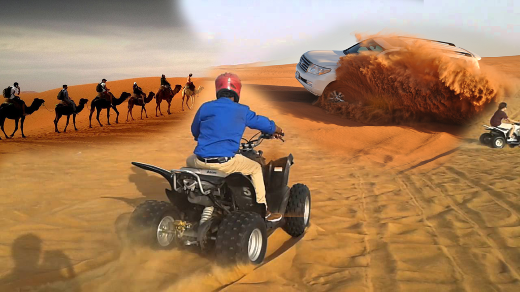 Best Desert Safari Activities