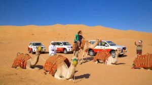 Safari Tours In Dubai