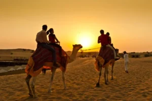 Sunset Camel Rides