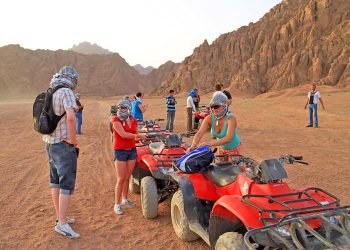 Buggy Safari Tours